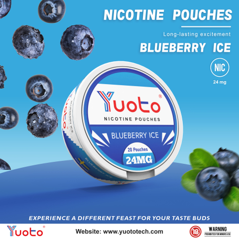 NIKOTIN POUCH-BLUEBERRY 24mgx20